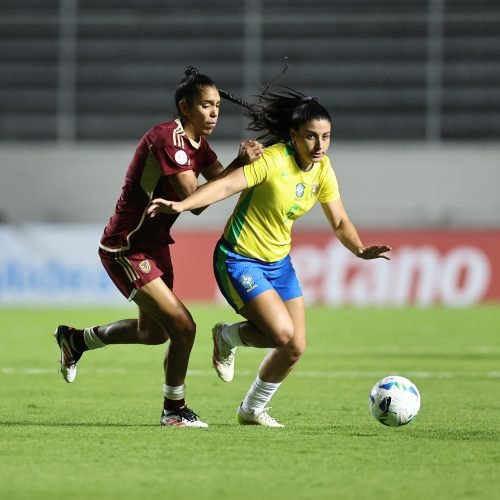 TIMÃO EM CAMPO