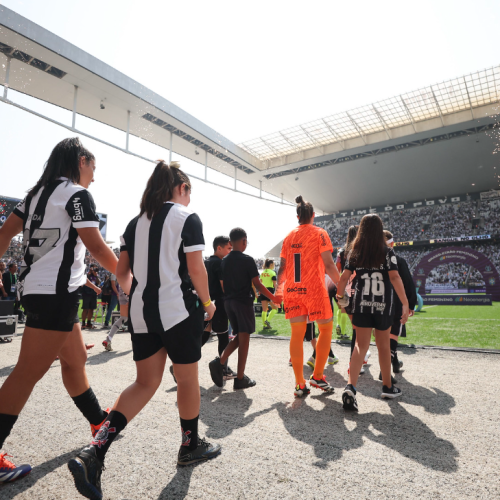 INVASÃO PELAS BRABAS