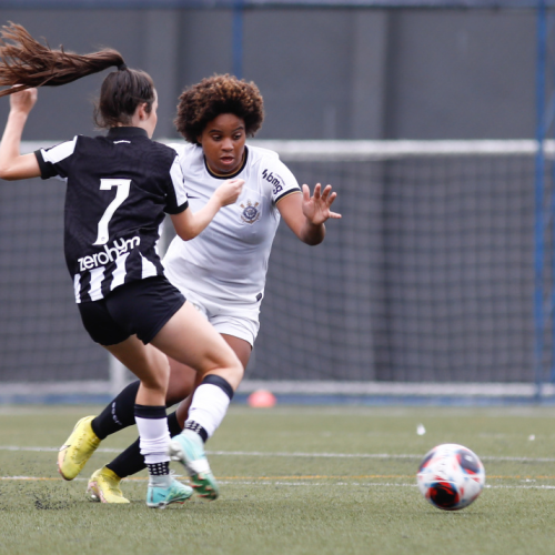 DE VOLTA AOS GRAMADOS